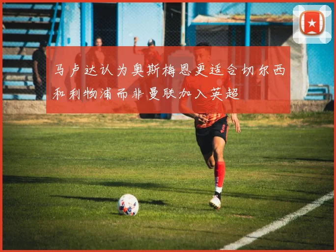 马卢达认为奥斯梅恩更适合切尔西和利物浦而非曼联加入英超